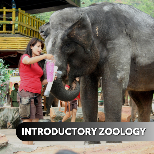 Introductory Zoology