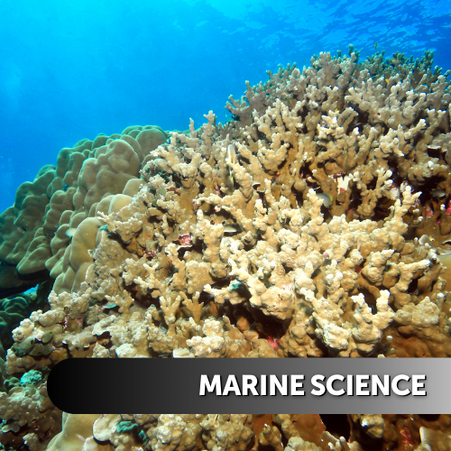 Marine Science