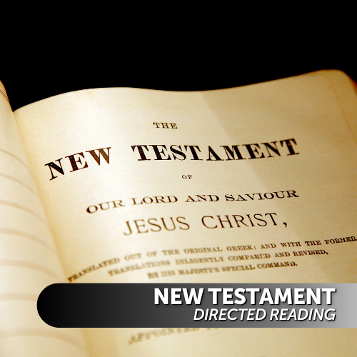 New Testament Directed Reading