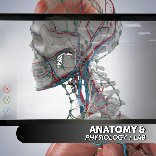 Anatomy & Physiology + Lab
