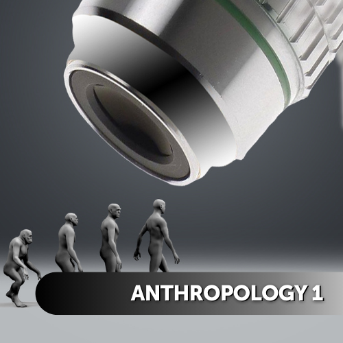 Anthropology 1