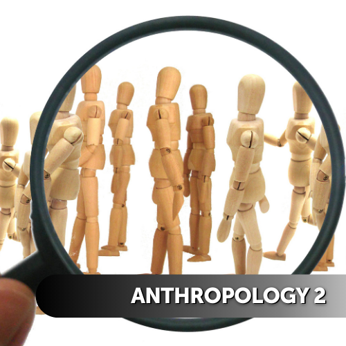 Anthropology 2