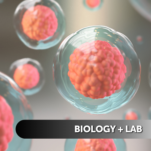 Biology + Lab
