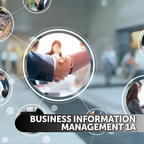 Business Information Management 1a