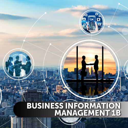 Business Information Management 1b