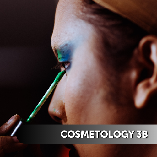 Cosmetology 3B