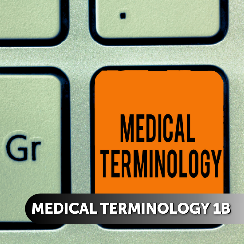 Medical Terminology 1b