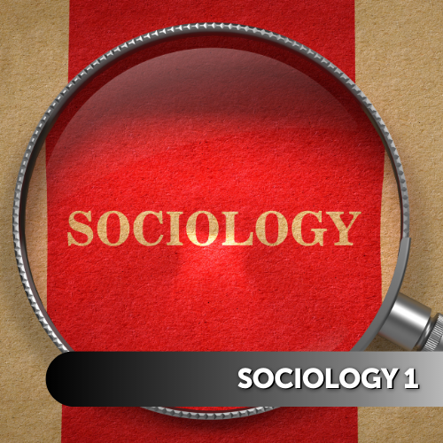 Sociology 1