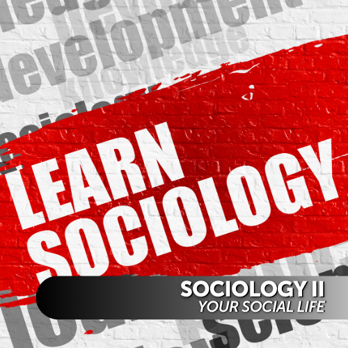 Sociology II: Your Social Life