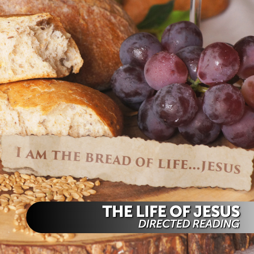 The Life of Jesus Directed Reading
