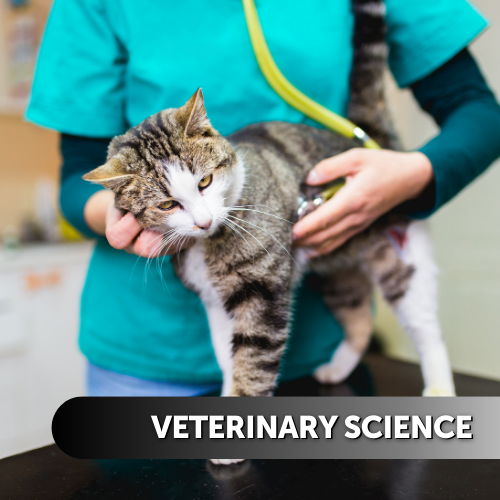 Veterinary Science